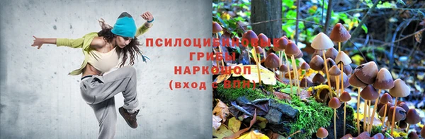 mix Белокуриха