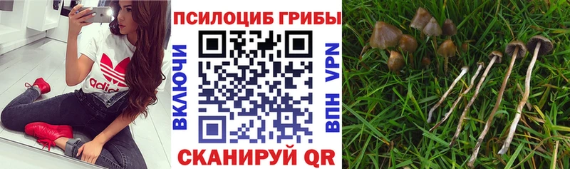 купить наркотики цена  Губкинский  Галлюциногенные грибы мухоморы 
